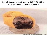 Jetzt aber hurtig