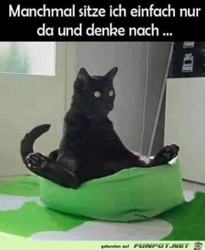 Einfach-nur-rumsitzen.jpg auf www.funpot.net
