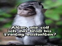 Gute Frage