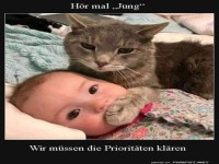 Katze kl�rt Priorit�ten mit Baby