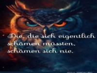 Weise Eule mit bedeutungsvollem Spruch