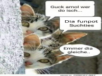 Guck amol wer do isch....