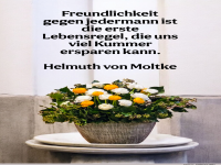 freundlichkeit gegen jedermann