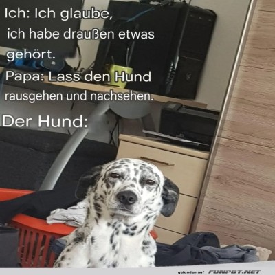 Der-Held-des-Hauses-ist-selbst-skeptisch.jpg von Mareike-21