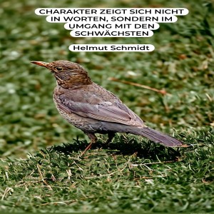 charakter-zeigt-sich-nicht.jpg von Fabioma