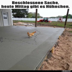 H�hnchen-auf-Frischbeton.jpg von Queen40