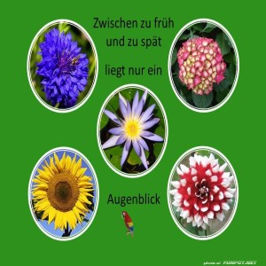 Zwischen-zu-fr�h-und-zu-sp�t.jpg von Sirene