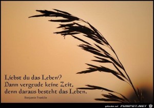 1476051-735398889821514-549559686-n.jpg auf www.funpot.net