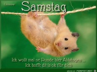 Samstag
