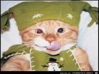 der trink war lecker