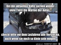 bei der aktuellen K�lte.......