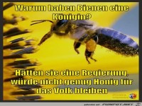 Warum haben Bienen eine Koenigin