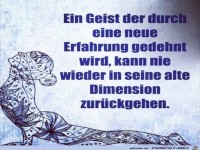 ein geist der durch eine neue erfahrung