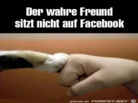 Der wahre Freund