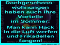 Dachgeschosswohnung im Sommer