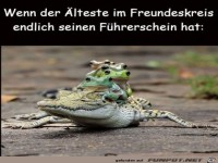 Endlich hat einer den F�hrerschein