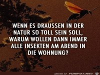 Drau�en ist es so toll