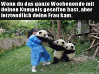 Komm jetzt mit