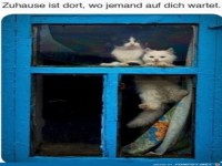Zuhause ist