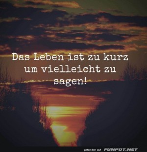 Das-Leben-ist-zu-kurz.jpg auf www.funpot.net