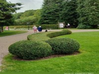 Nat�rlich gewachsen