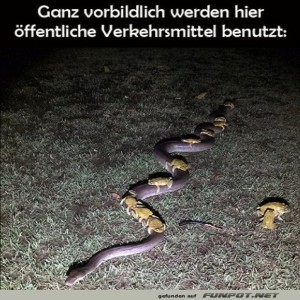 fun-Bild: Öffentliche Verkehrsmittel