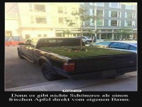 Kreative Gartenidee auf einem Pickup-Truck