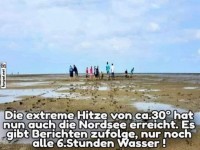 Hitze an der Nordsee: Wasserknappheit