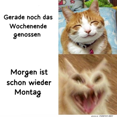 Wenn-der-Montag-ins-Gesicht-schreit.jpg von Ida-1969