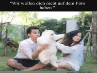 Das flauschige Fotobomb-Desaster!