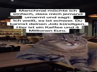 Katzenkredite und Koffeintr�ume