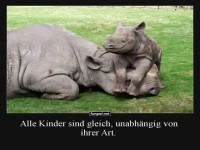 Nashornkinder-Powernap!