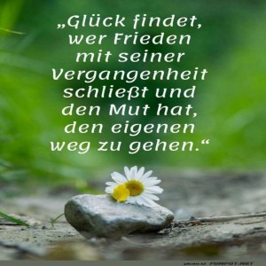Stein,-Blume-und-die-Kunst-des-Glücks.jpg von Josefin