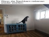weiter