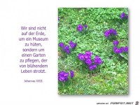 wir sind nicht auf der erde...