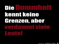 die-dummheit