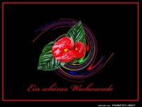 Ein schoenes Wochenende 6