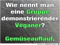 Wie nennt man eine Veganer Demo