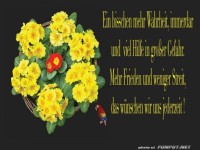 Ein bisschen Wahrheit 1