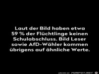 laut der Bild haben etwa51% der Fl�chtlinge.........