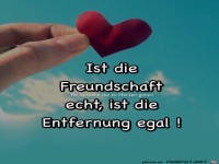 Ist Freundschaft echt