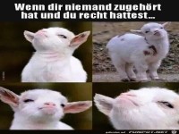 So ist es n�mlich