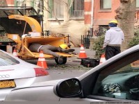 Grund warum Frauen l�nger leben als M�nner 6