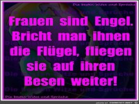 Frauen sind wie Engel