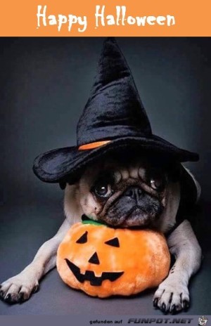 Halloween.jpg auf www.funpot.net