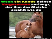 Der Chef ist deiner Meinung