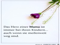 Das Herz einer Mama