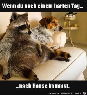 Nach-einem-harten-Tag.jpg auf www.funpot.net