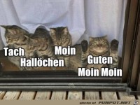 Einer ist immer verr�ckt