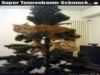 Tierischer Christbaumschmuck